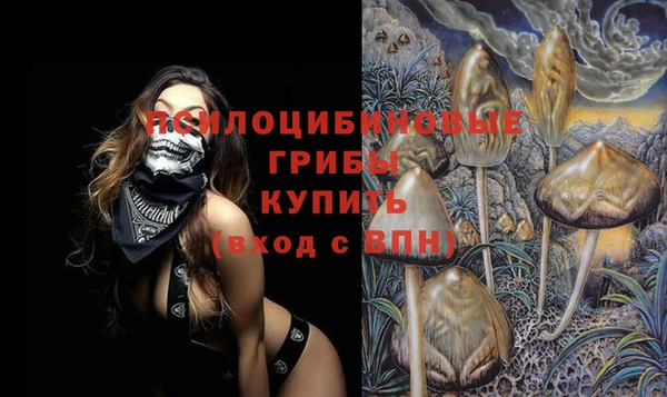 spice Вяземский