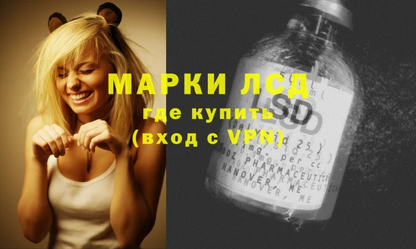 spice Вяземский