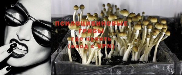 spice Вяземский
