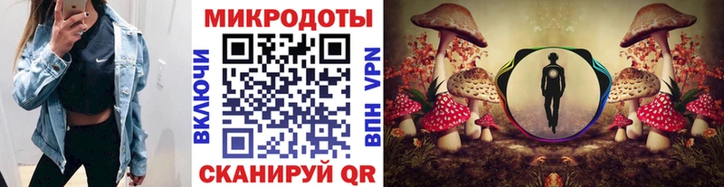 Псилоцибиновые грибы мухоморы  купить закладку  Чёрмоз 