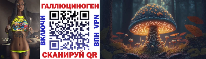 Псилоцибиновые грибы GOLDEN TEACHER Чёрмоз